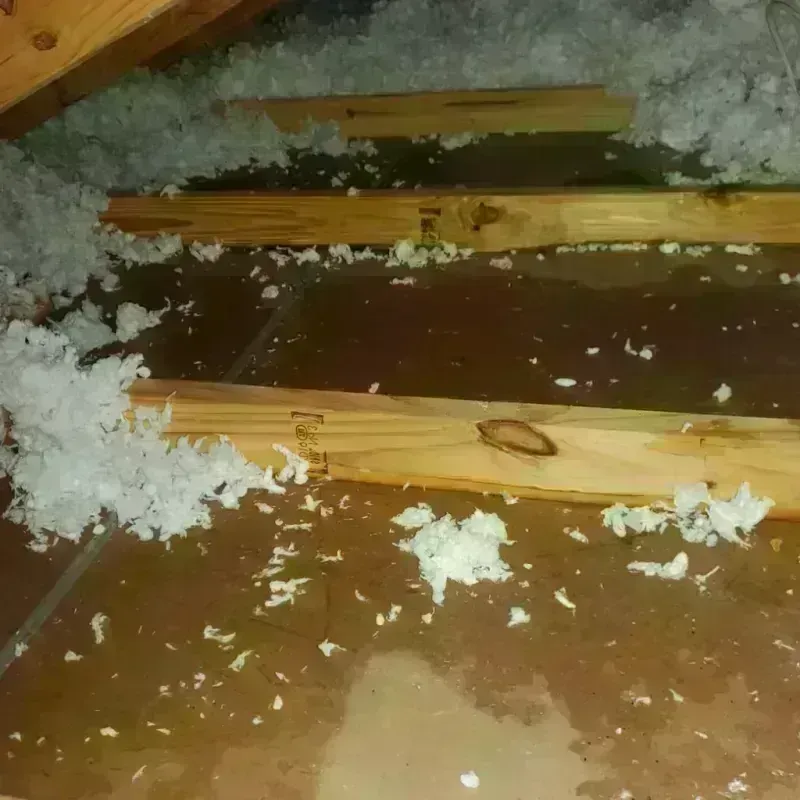 Attic Water Damage in Falfurrias, TX