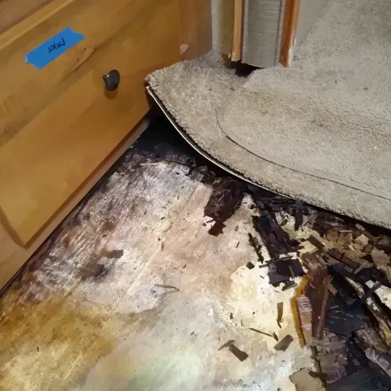 Best Wood Floor Water Damage Service in Falfurrias, TX